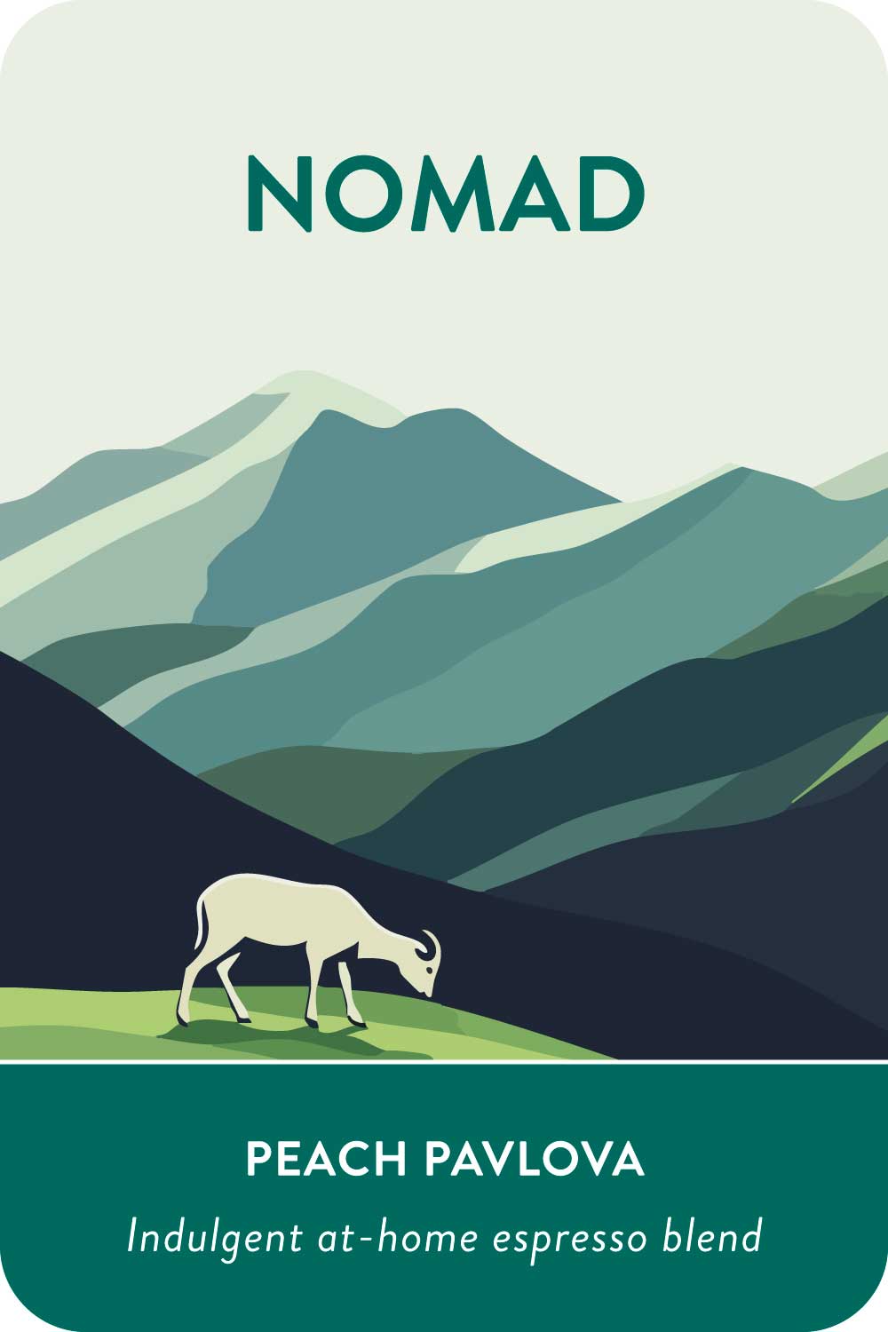 Nomad 2.0 from Voyager Coffee