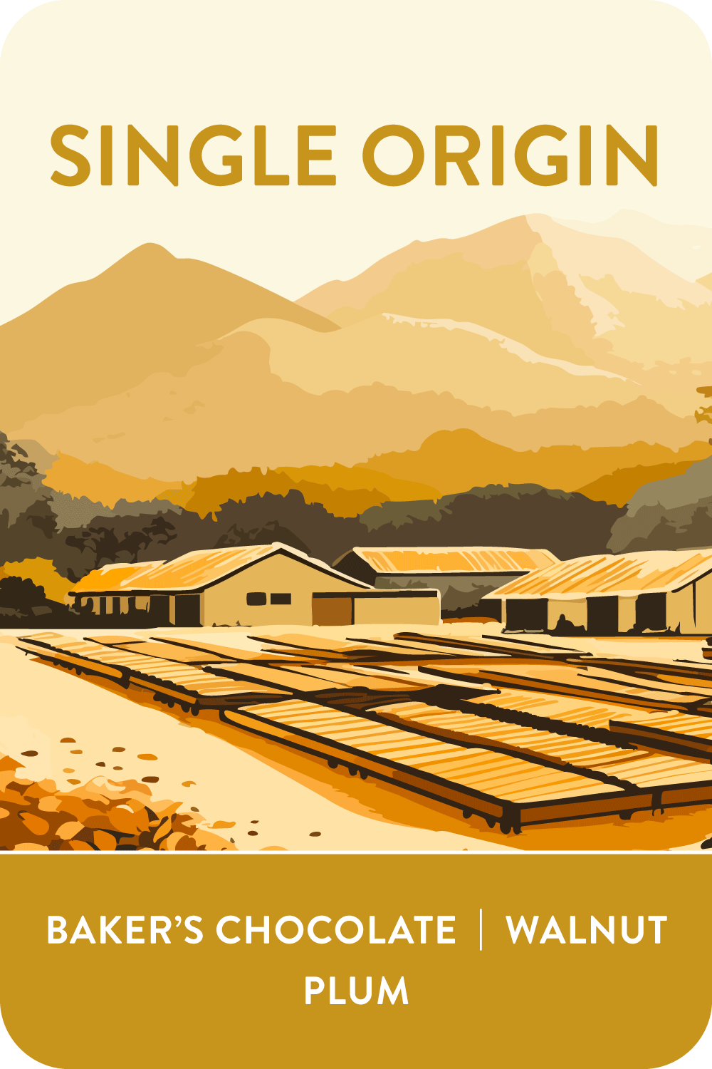 House Single Origin, Brazil | Sitio São Lourenço, 10x1kg from Voyager Coffee