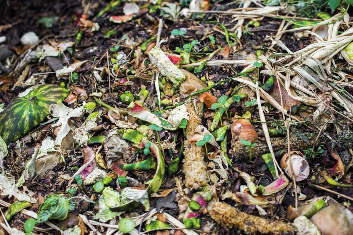 Voyager Coffee Benefits of Composting