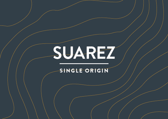 Voyager Suarez Single Origin Syrupy