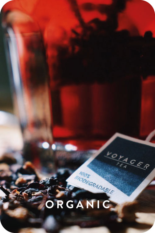 Voyager Tea Bags Blackberry & Cinnamon Voyager Coffee