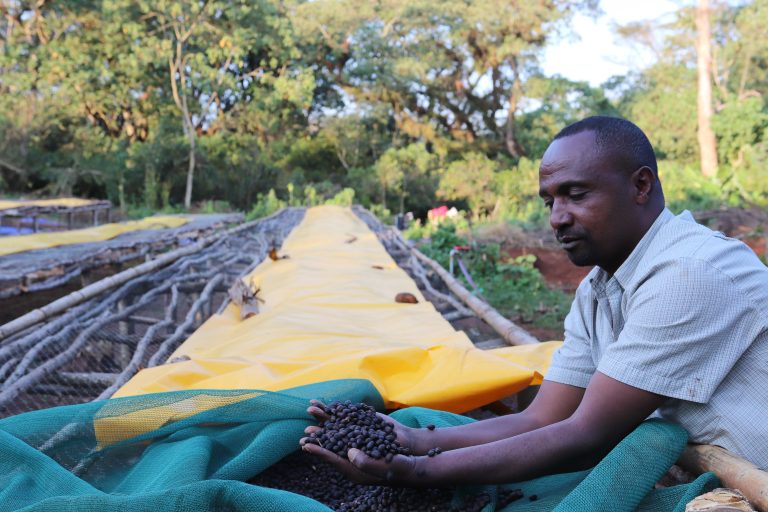Ethiopia | Beshasha