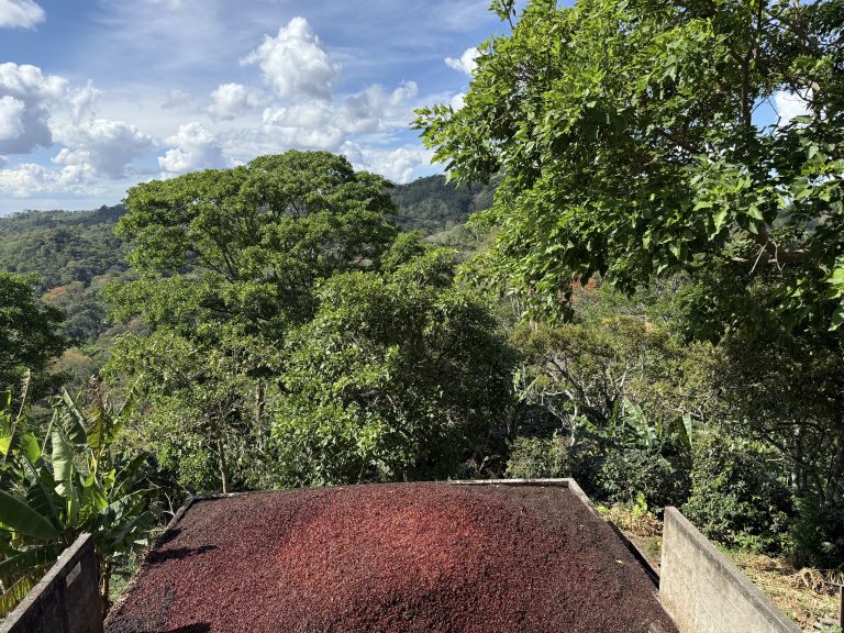 Nicaragua | Bethania