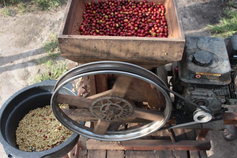 Indonesia | Sesongot